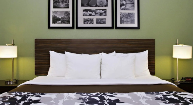 Двухместный номер Standard Sleep Inn & Suites Jasper I-22