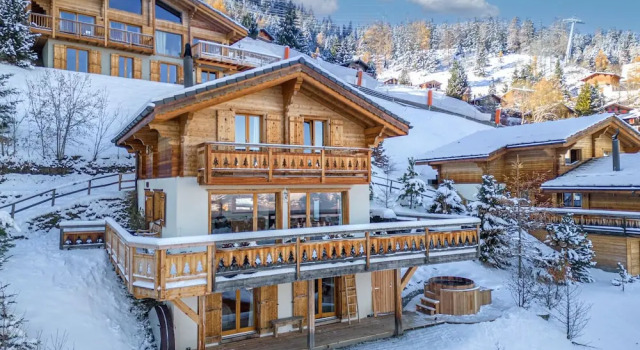 Chalet Sapin Argenté