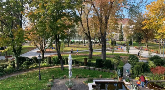 Двухместный номер Standard с видом на сад Golden Ball Club Hotel & Fitness