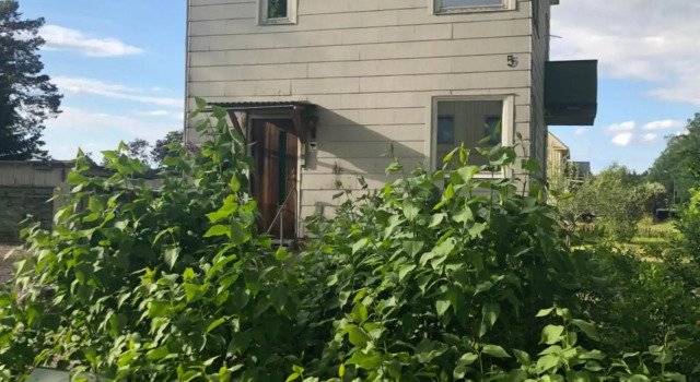 Säfsen, Prenota Hotel Fredriksberg Dalarna