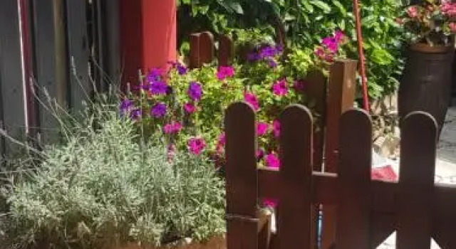 B&B Girasole