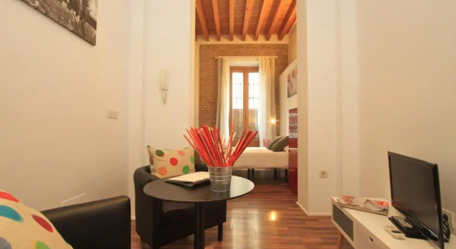 Студия Classic Apartamento Duplex Gomerez 39