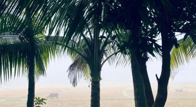 Villa Aminvilla Resort