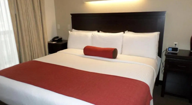 Номер Standard Berlin Grande Hotel