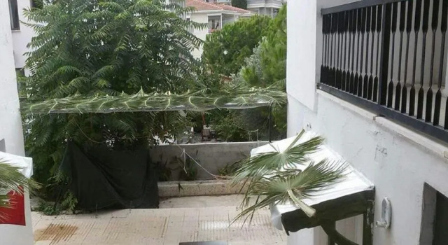 Otel Melta