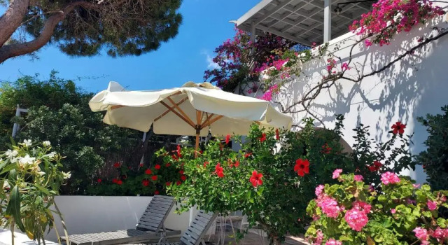 Студия Villa Arni Andros - Βίλα ΑΡΝΗ