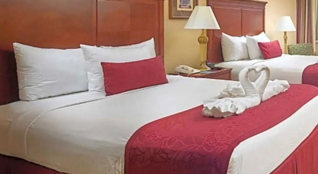 Четырёхместный номер Standard с красивым видом из окна Plaza Resort & Spa