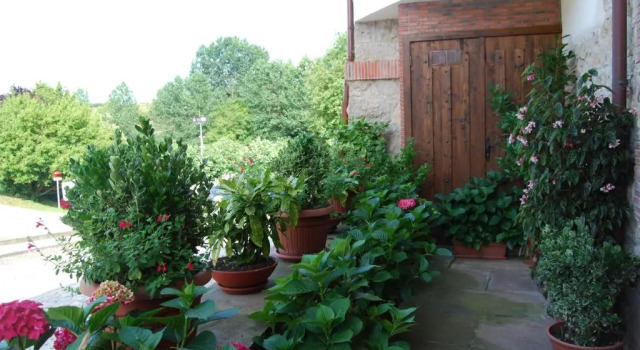 Номер Standard La Casa de Maria