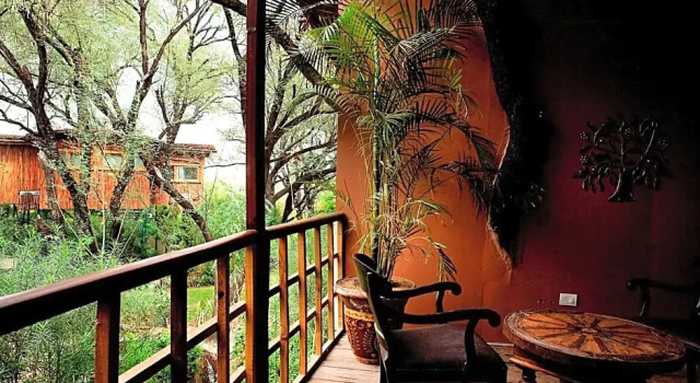 Коттедж Luxury с красивым видом из окна The Tree House Resort