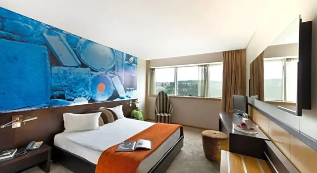 Одноместный номер Standard Penafiel Park Hotel & Spa