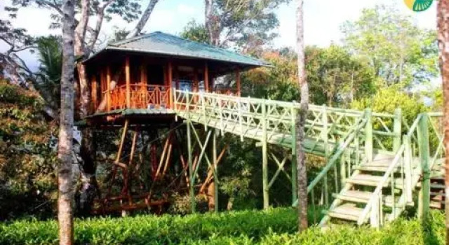 Treehouse With Wi-Fi In Munnar, By Guesthouser 10760