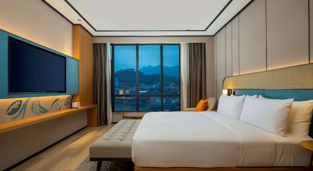 Двухместный люкс Deluxe Hilton Garden Inn Guizhou Maotai Town