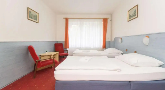 Двухместный номер Standard Sport Hotel Gejzirpark