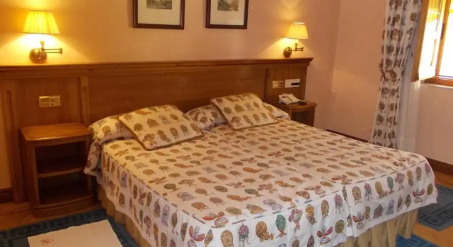 Двухместный номер Classic Hotel Torremilanos