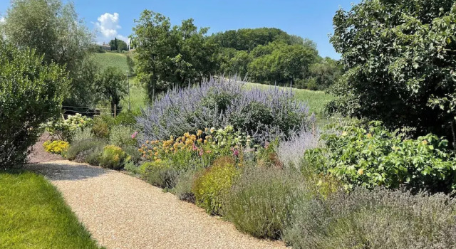 Agriturismo La Frattina, Book Farm Stay Hotels in Buonconvento with a Pool, Swimming Pool