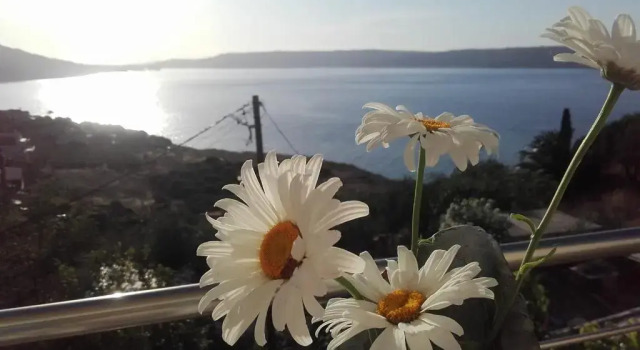 Двухместный номер Standard с балконом и с видом на море Olympic View Guesthouse