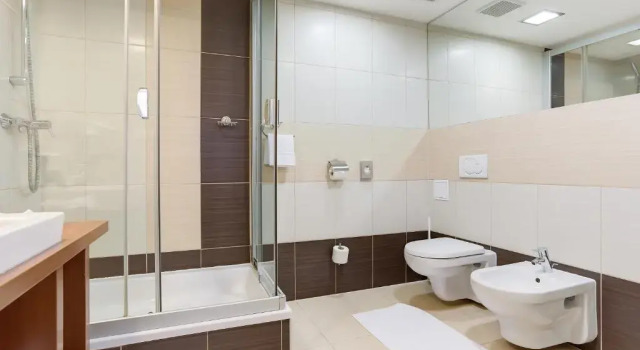Двухместный номер Standard Hotel Janosik