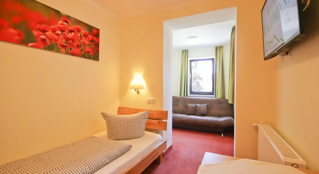 Habitación individual Estándar Hotel Waldmann