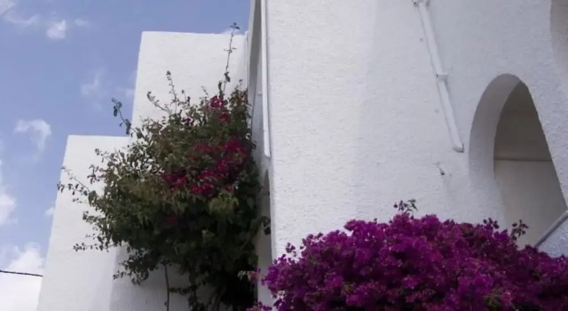 Hostal Las Gaviotas, Забронировать Хостел Отели Сан-Хосе с бассейном, Бассейн
