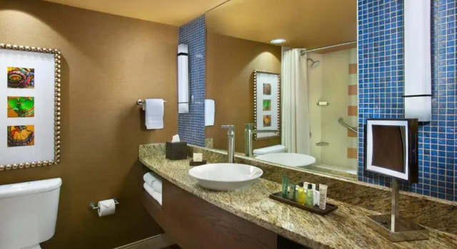 Двухместный номер Hilton Palacio del Rio