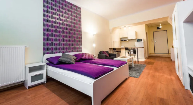 Студия с видом на город Exclusive Budapest Residence
