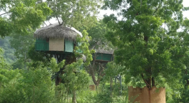 Коттедж Yala Beddegama Eco