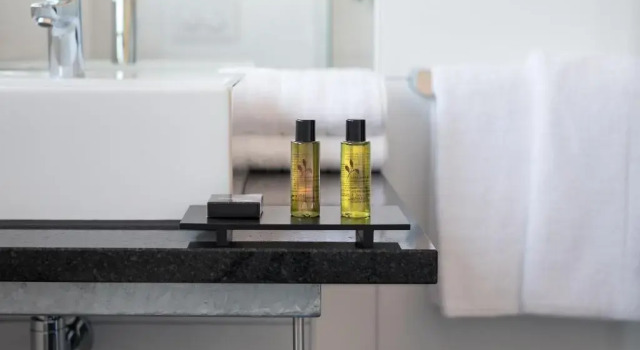 Двухместный номер Standard Boutique Hotel Bellevue Rheinfelden / Basel