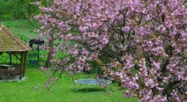 Shubu Zen Vendégház, Réserver Hôtel Szilvásvárad 