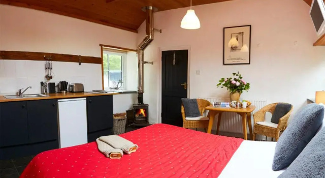 Двухместная студия Superior Dale Farm Holidays