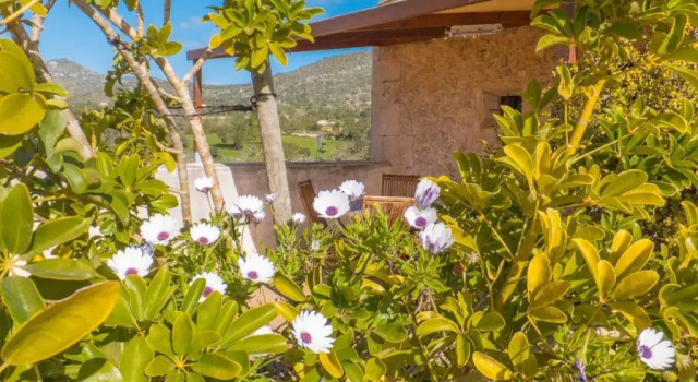 Апартаменты Пентхаус c 1 комнатой Finca Hotel Ses Cases Noves