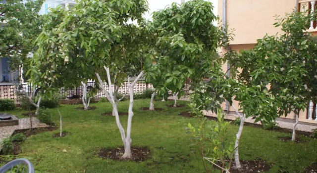Номер Standard Apartments Dalila