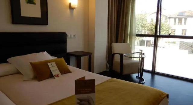 Двухместный номер Standard Цокольный этаж Hotel Villa Rosario, Palacete