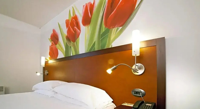 Одноместный номер Business Hotel du Golf Rosny