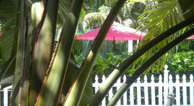 Casa Grandview, Rezerwuj Hotel West Palm Beach Palm Beach County