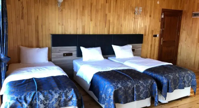 Трёхместный номер Standard с видом на сад Dora Butik Otel