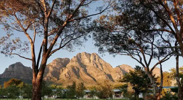 Номер Standard Boschendal Farm Estate