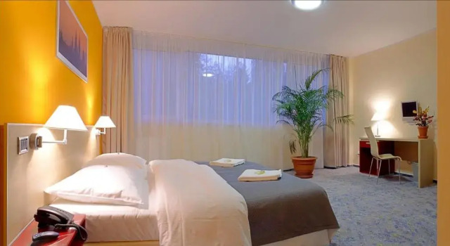 Habitación doble Superior Hotel Michael