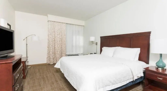 Doppel Suite Hampton Inn East Lansing