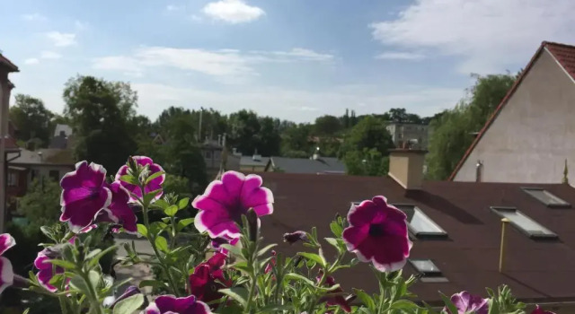 Апартаменты Chopina Loft