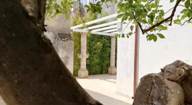 Люкс Standard Agorà Suites & Apartments