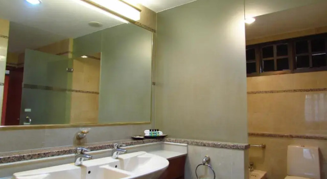 Апартаменты Deluxe Alocassia Serviced Apartments