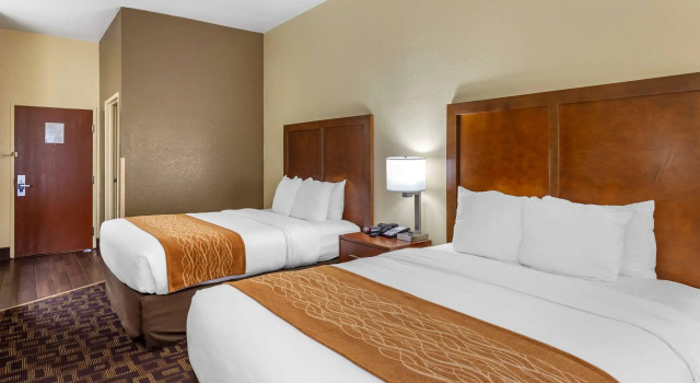 Четырёхместный номер Standard Comfort Inn & Suites