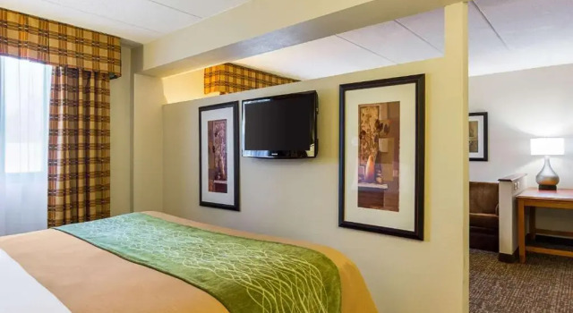 Люкс Comfort Inn Herndon-Reston