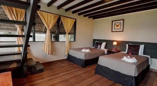 Семейный номер Superior El Sauce Resort