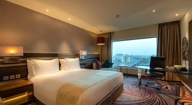 Двухместный номер Standard с видом на город Holiday Inn Jaipur City Centre by IHG