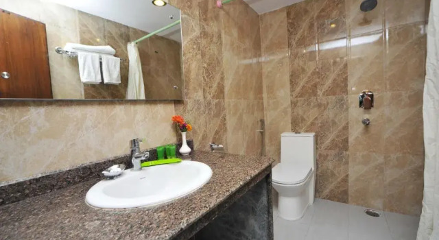 Номер Standard Hotel Dandelion