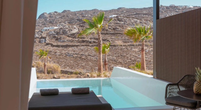 Двухместный люкс Deluxe Отель Ftelia Black Villas