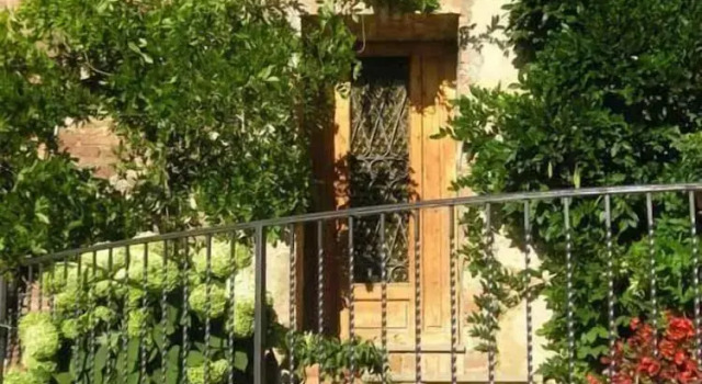 Classic Apartment Il Poderaccio