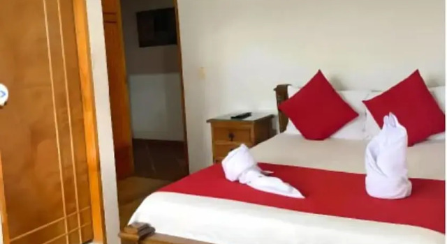 Номер Standard Hotel Zocalo Campestre