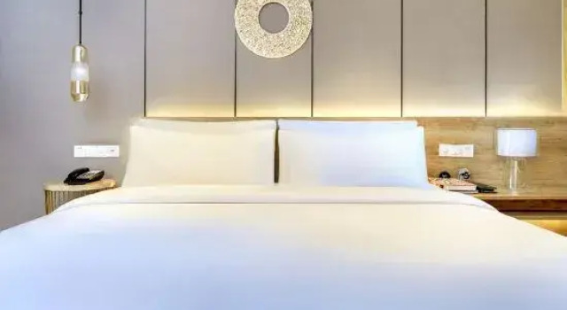 Люкс Deluxe Homeplus Holiday Hotel (Chongqing Hongyadong)